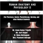 Human Anatomy and PhysiologyII