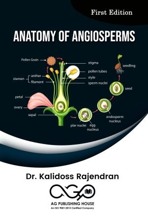 Anatomy Of Angiosperms