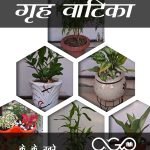 गृह वाटिका