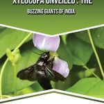 Xylocopa Unveiled : The Buzzing Giants of India