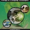 Electric Vehicle: Energy & Charging Techniques