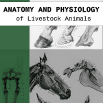 Anatomy and Physiology Of Livestock Animals