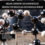 Organic Chemistry and Nanoparticles: Bridging the Molecular and Nanoscale Worlds