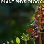 A Textbook of Plant Physiology