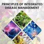 Principles of Integrated Disease Management